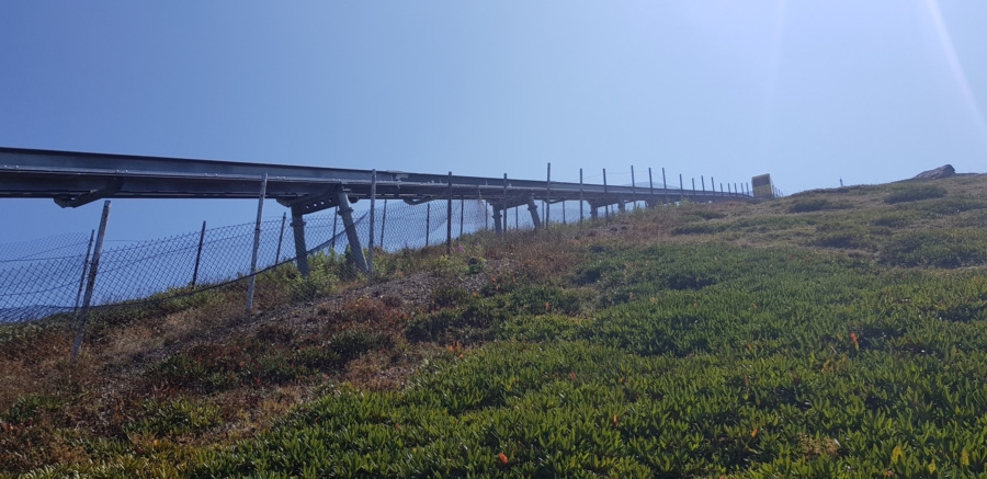 Didveli 06 900x437 - Didveli, Bakuriani, GE